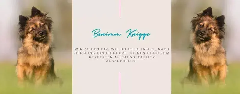 Benimm Knigge - FB Veranstaltung Titelbild 2