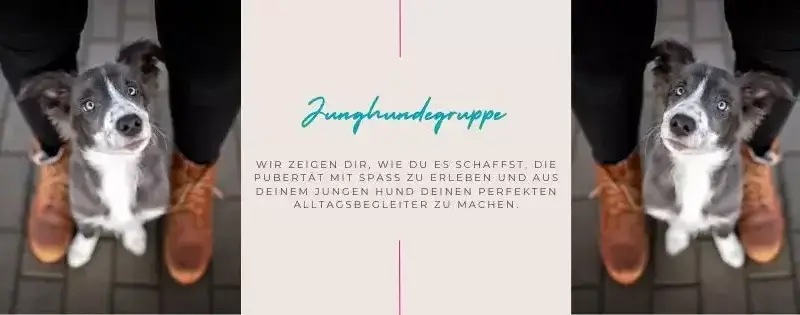 Junghundegruppe - FB Veranstaltung Titelbild