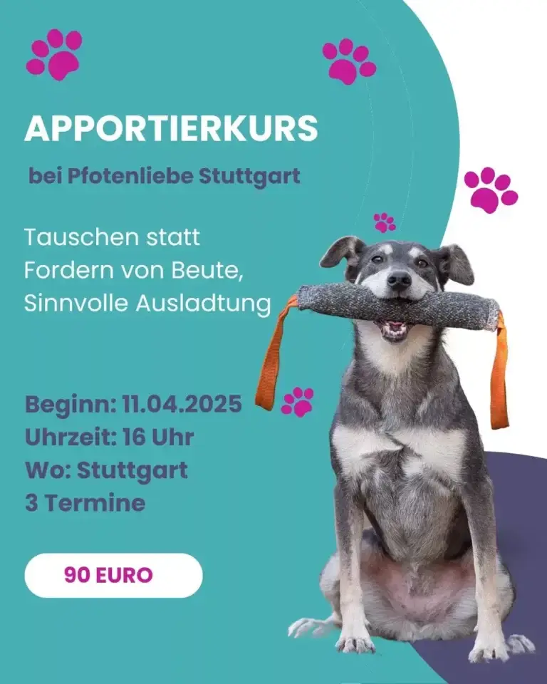 Apportieren Stuttgart