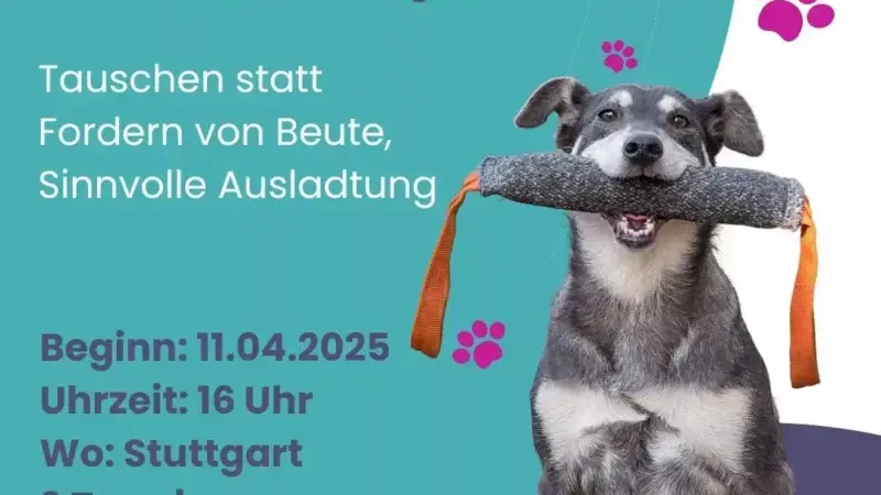 Apportieren Stuttgart - Apportierkurs