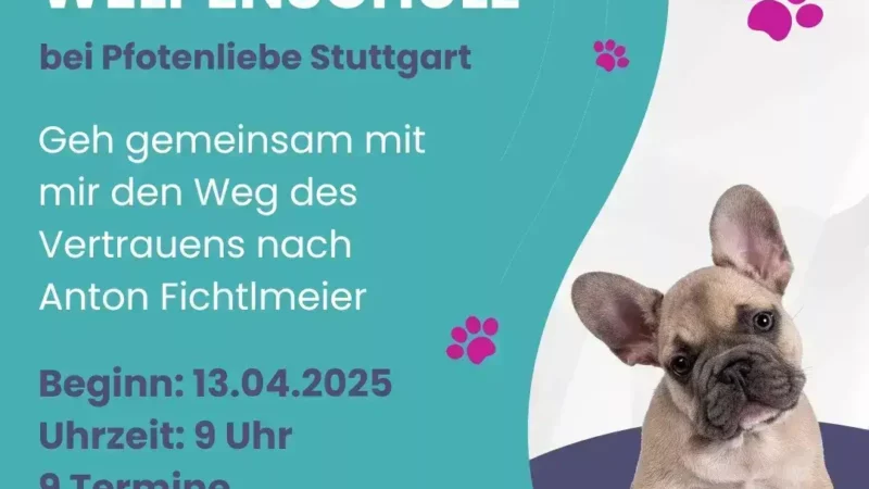 Welpenschule Stuttgart - Welpen13.02