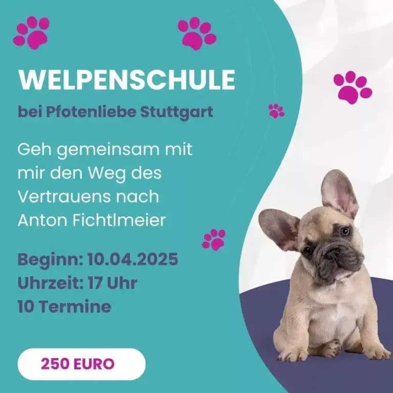 Welpenschule Stuttgart