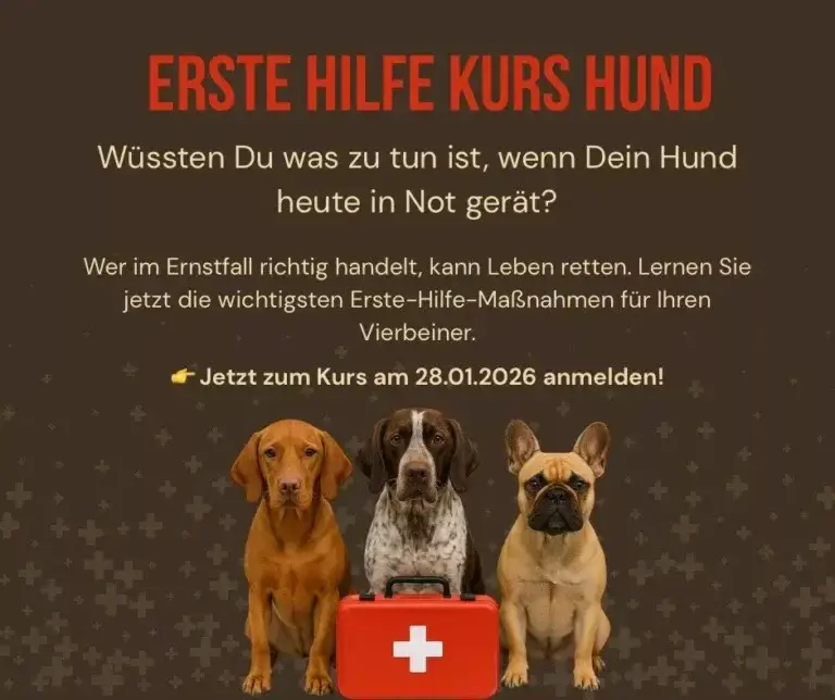 Erste Hilfe Kurs