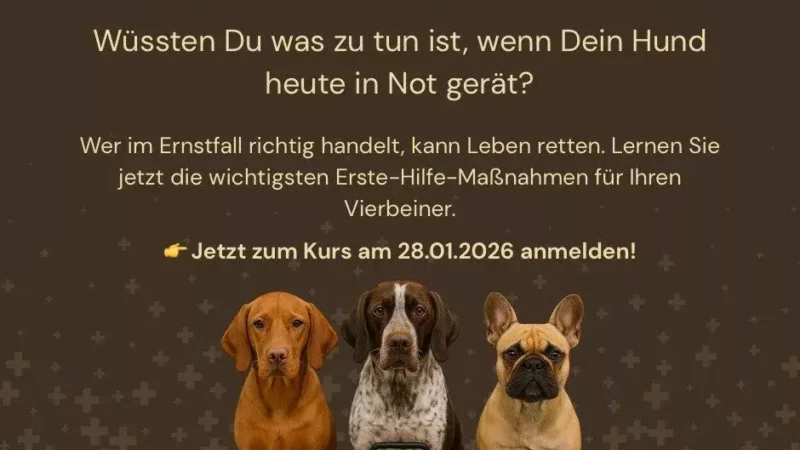 Erste Hilfe Kurs - Erste Hilfe Kurs Hund