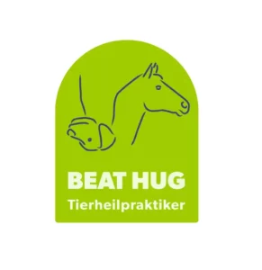 Logo Beat Hug