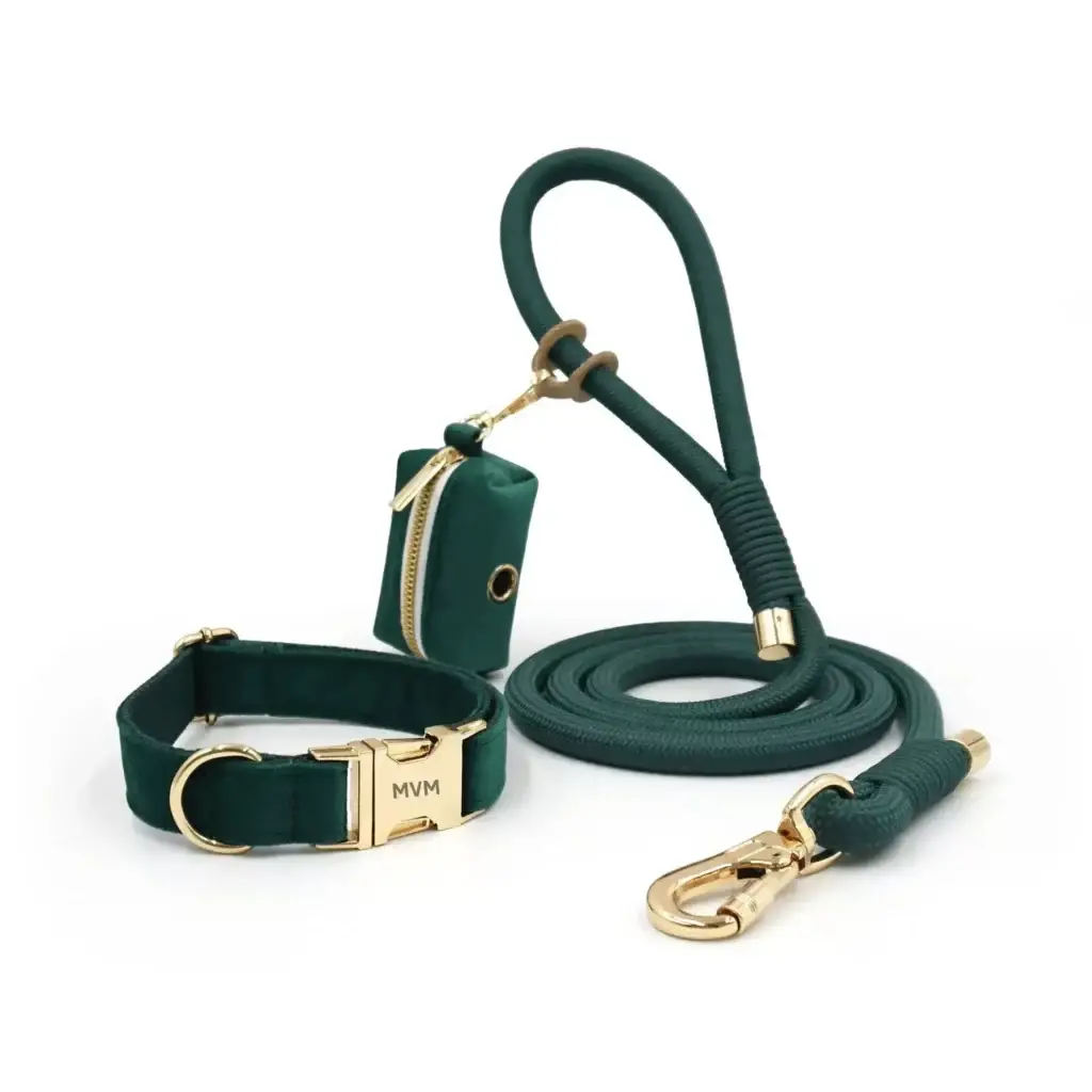 Hundeleine und Halsband Set – 3-teilig mit Kotbeutelspender