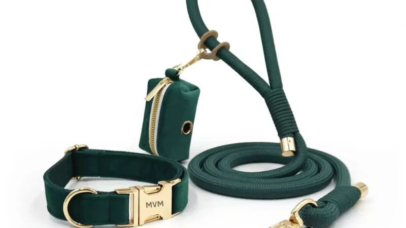 Hundeleine und Halsband Set – 3-teilig mit Kotbeutelspender
