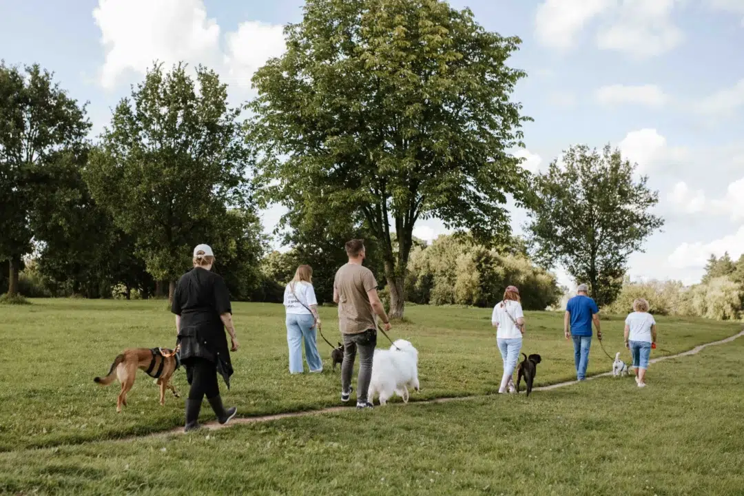 Meyn-Hundetraining-44-klein