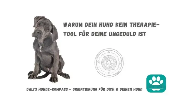Hundekompass – Ungeduld ist dein Thema und nicht die Therapieaufgabe deines Hundes