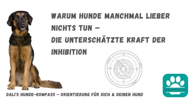 Hundekompass – Warum Hunde manchmal lieber nichts tun. Die unterschätzte Kraft der Inhibition