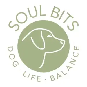 Logo Soul Bits