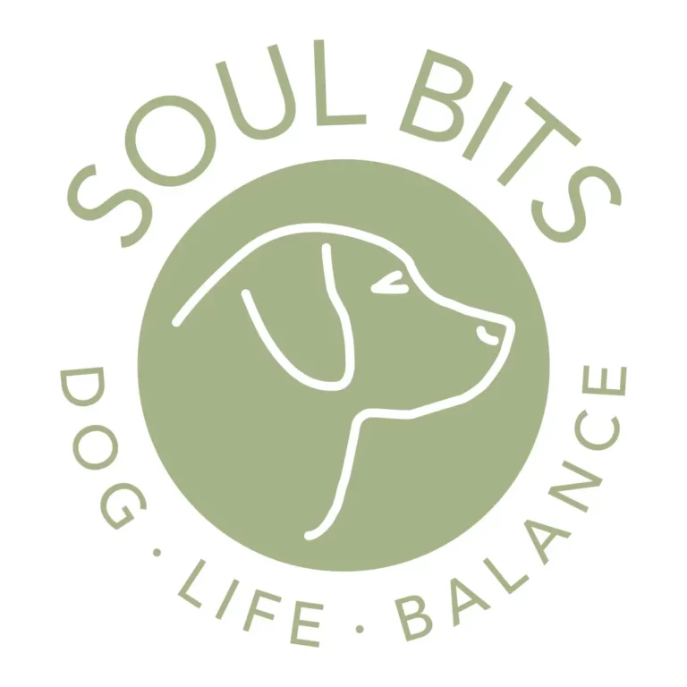 Soul Bits - soul bits rund RGB POS