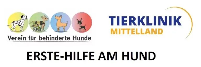 Nothelferkurs in der Tierklinik Mittellan
