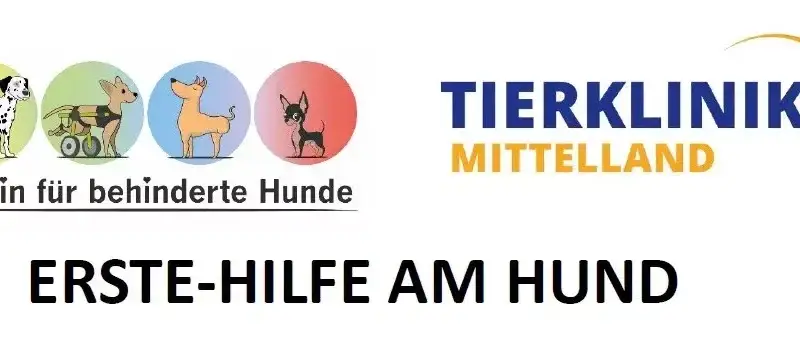 Nothelferkurs in der Tierklinik Mittellan - Screenshot 2026 02 09 093329
