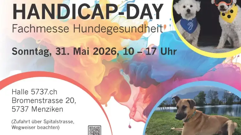 Handicap-Day 2026, Fachmesse Hundegesundheit - Seiten aus Flyer Handicap Day 2026