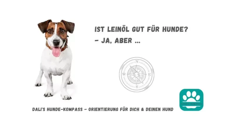 Hundekompass – Warum Leinöl gesund ist aber nicht als Omega-3-Quelle taugt