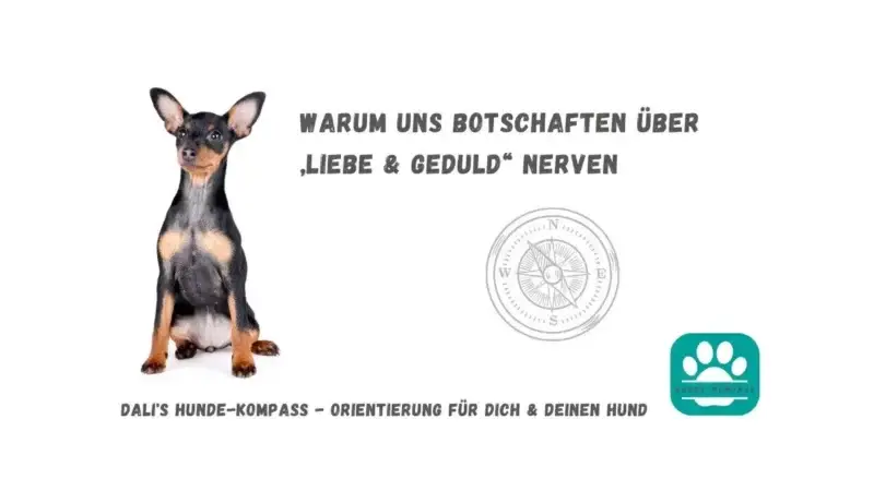 Hundekompass – Die Illusion der Abkürzung: Warum „Liebe und Geduld“ uns nervt!