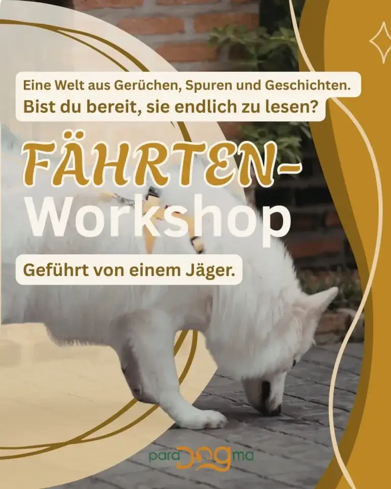 Fährten Workshop