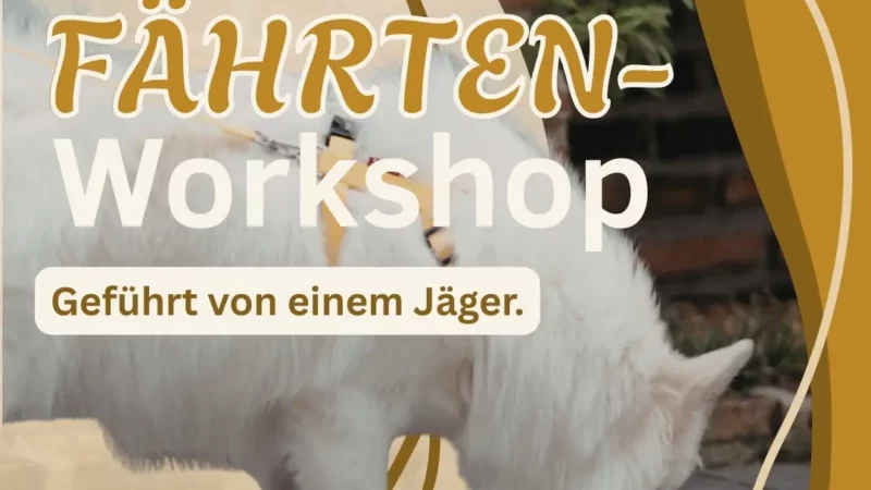 Fährten Workshop - AAGRBT0C7xk 1772383119621 1