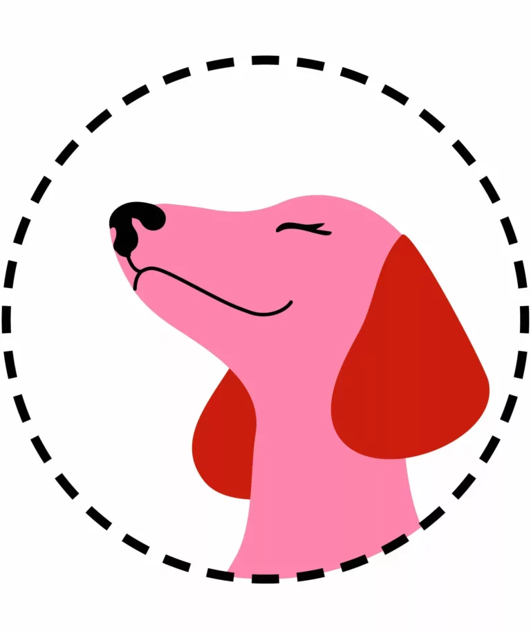 Hundesalon Fellhelden - Fellhelden back2