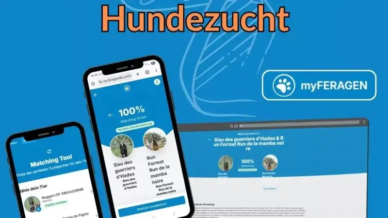 Dog-Dating in der Hundezucht