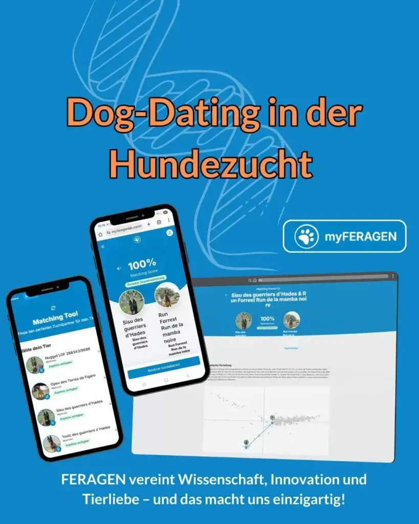 Dog-Dating in der Hundezucht