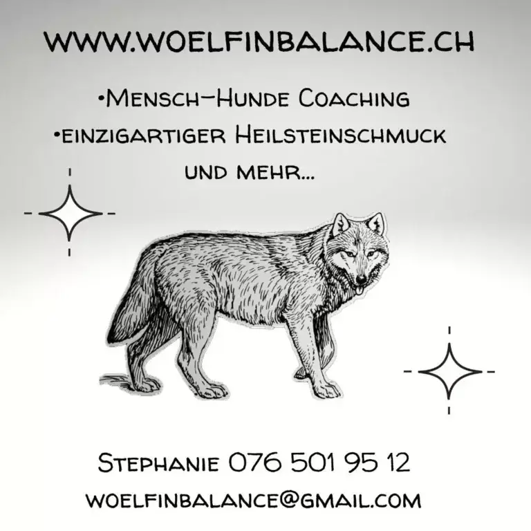 Themen Social Walk, Woelfinbalance.ch Physio-Walk