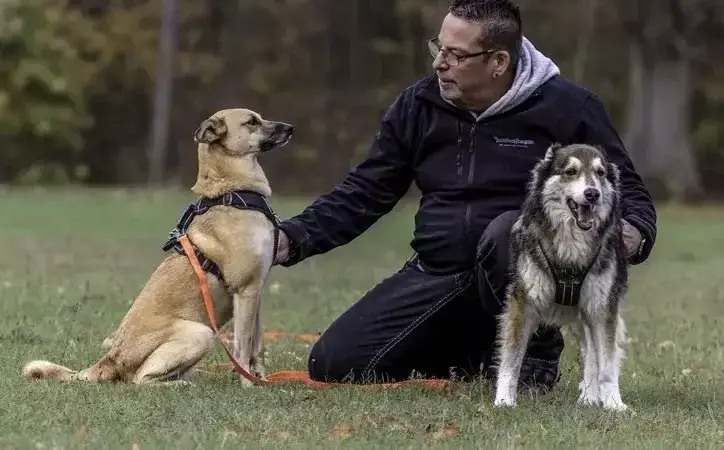 „Die müssen das klären“ – Der gefährlichste Mythos bei Hundebegegnungen