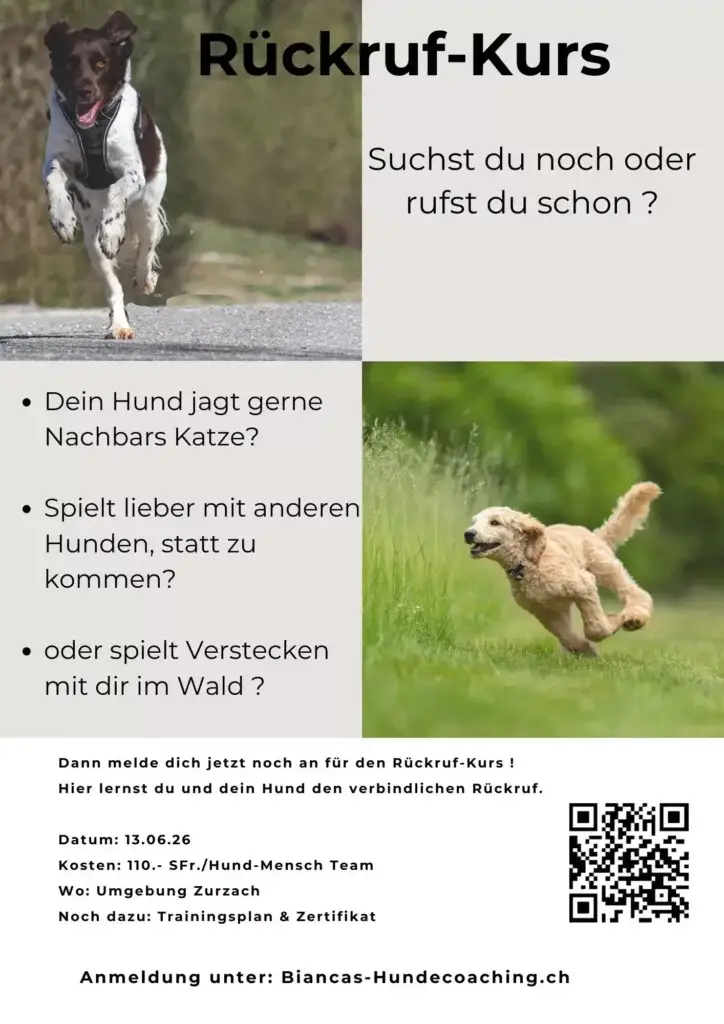 Rückruf Kurs – Suchst du noch oder rufst du schon