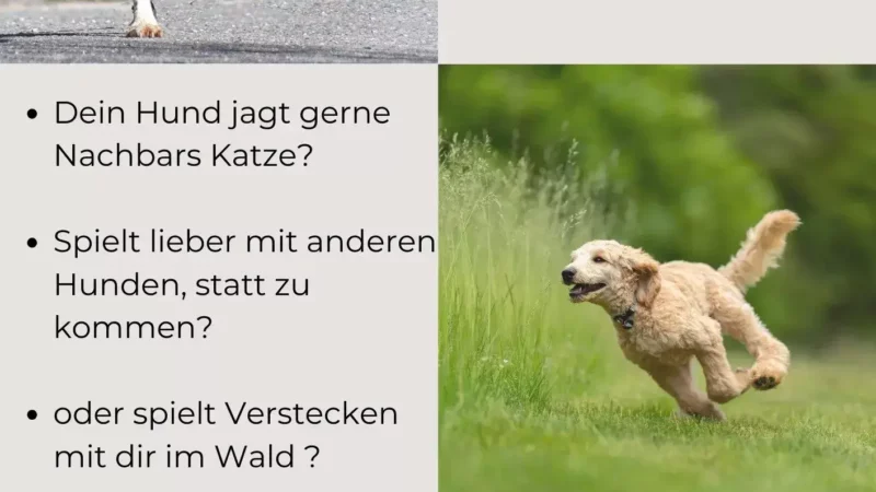 Rückruf Kurs – Suchst du noch oder rufst du schon - Rueckruf
