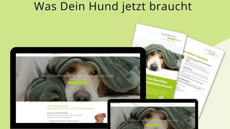 Durchfall, Nicht schön, aber immer wieder? – was deinem Hund jetzt gut tut.