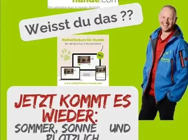 Sommer, Sonne – und plötzlich Kreislaufkollaps?