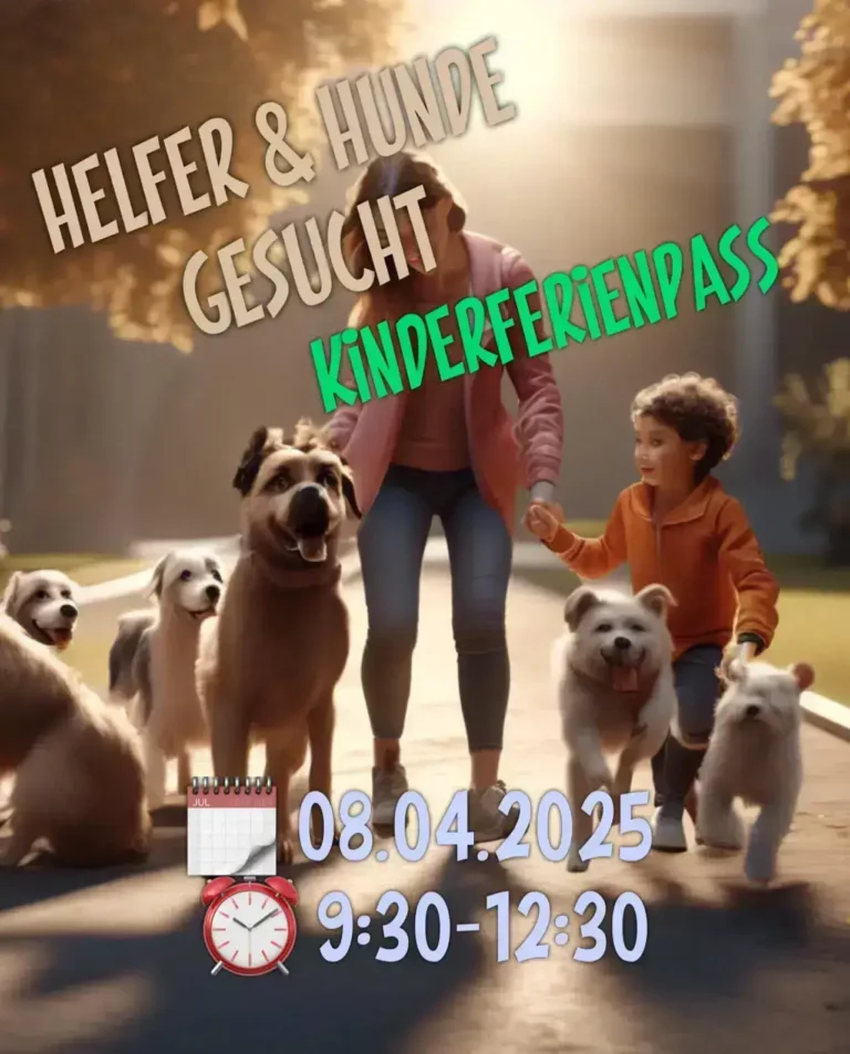 Kinderferienpass Thurgau
