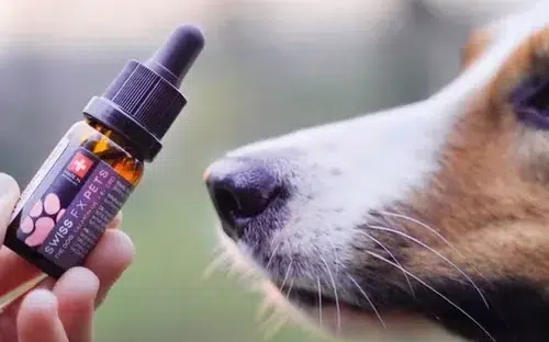 6uf7c8gfgt__c_SwissFX_Bio_CBD_f_r_Tiere_