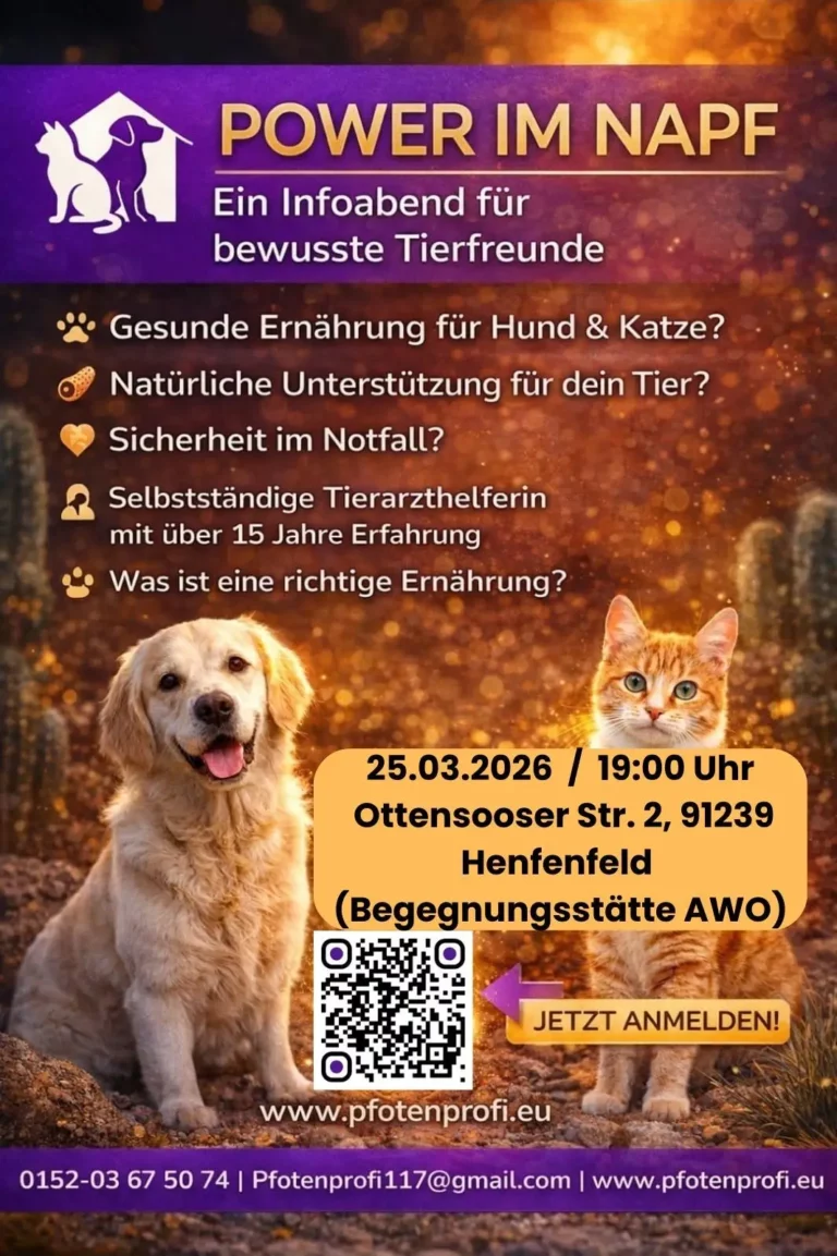 Vortrag: Power im Napf