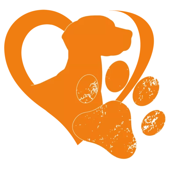 Logo-Orange-Frei-Kopie