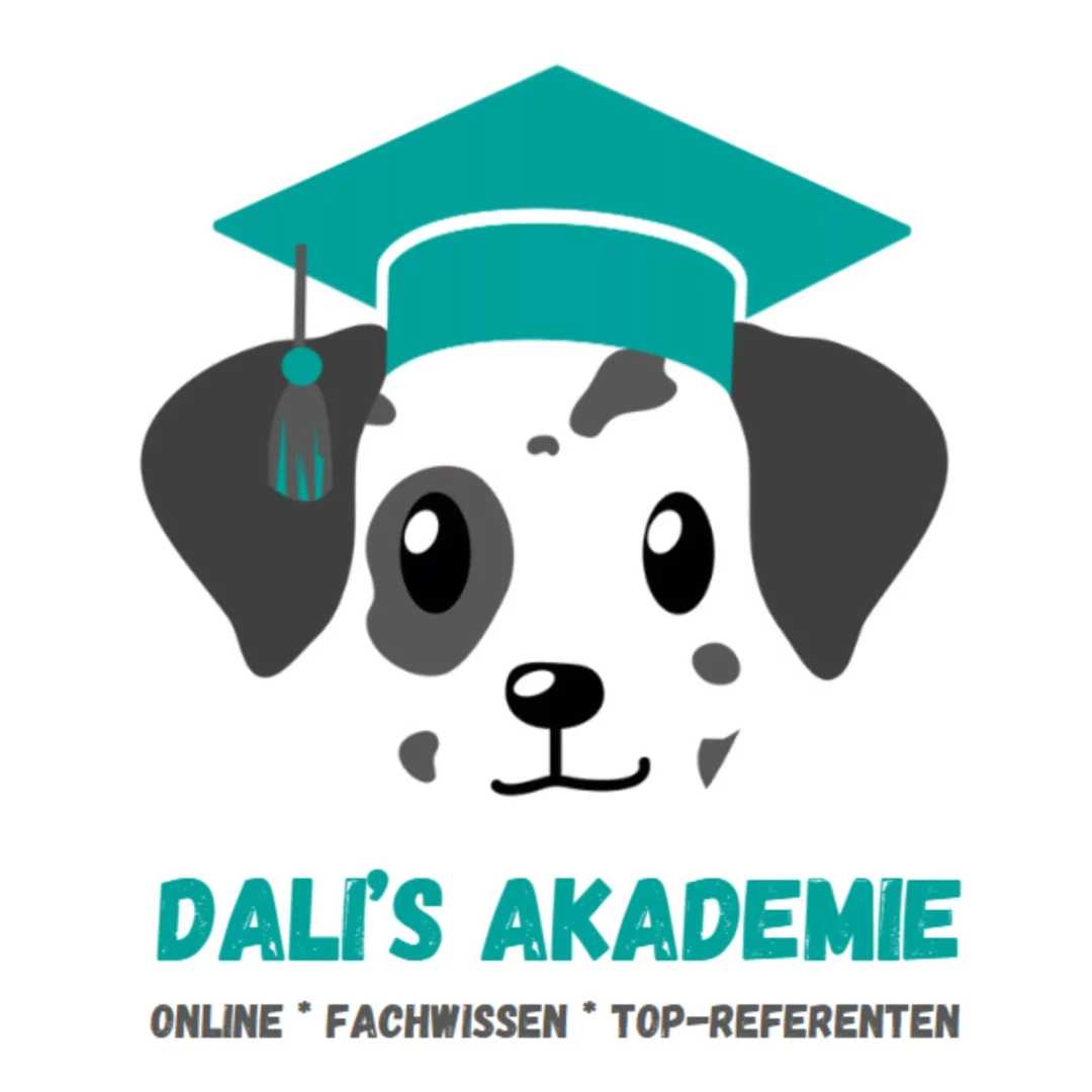 Dalis-Lieblingsplatz-2