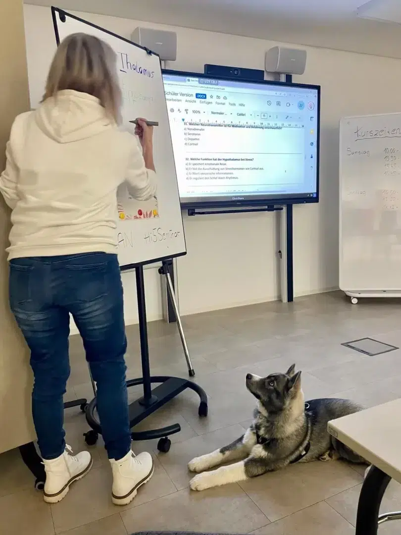 WhatsApp-Image-2025-01-12-at-16.03.05-1