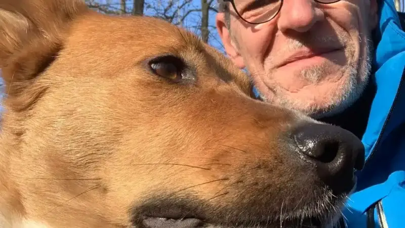 Der Moment, in dem dein Hund dich wirklich versteht und was dabei im Gehirn passiert