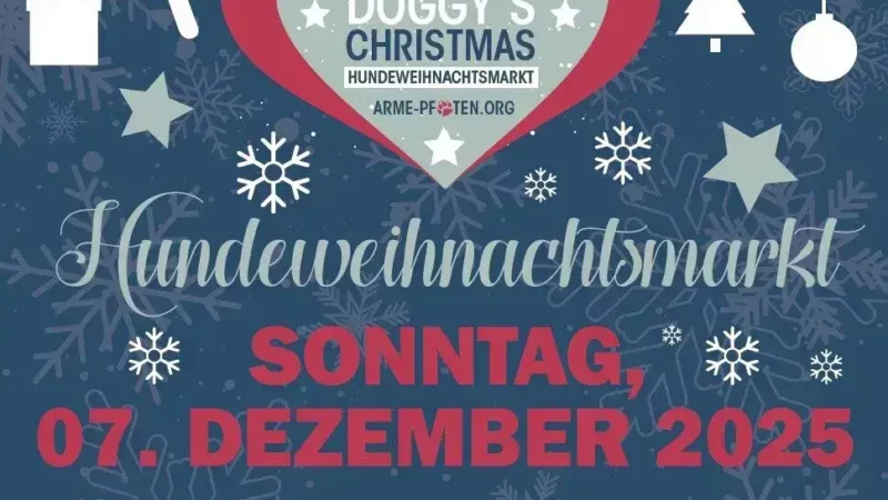Doggy's Christmas Hundeweihnachtsmarkt - Screenshot 2025 10 21 104435