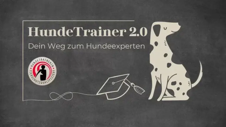 Ausbildung Hundetrainer & Verhaltensberater