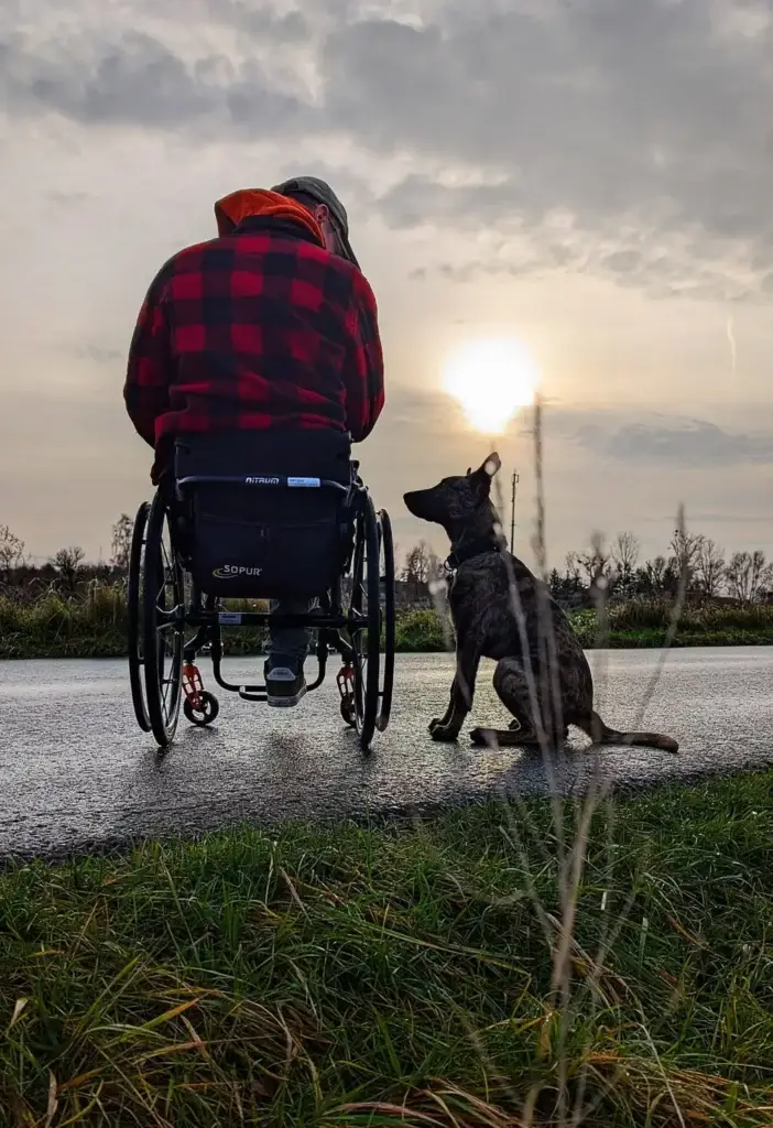Leben mit Gebrauchshund im Rollstuhl – Alltag, Training und der Weg in den Hundesport