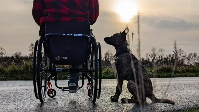 Leben mit Gebrauchshund im Rollstuhl – Alltag, Training und der Weg in den Hundesport