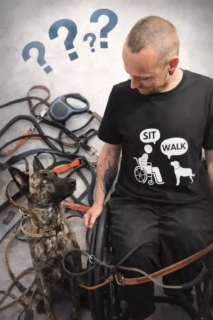 Leinenführung im Rollstuhl: Welche Leine wirklich sicher ist – und warum Hundetraining hier anders funktioniert