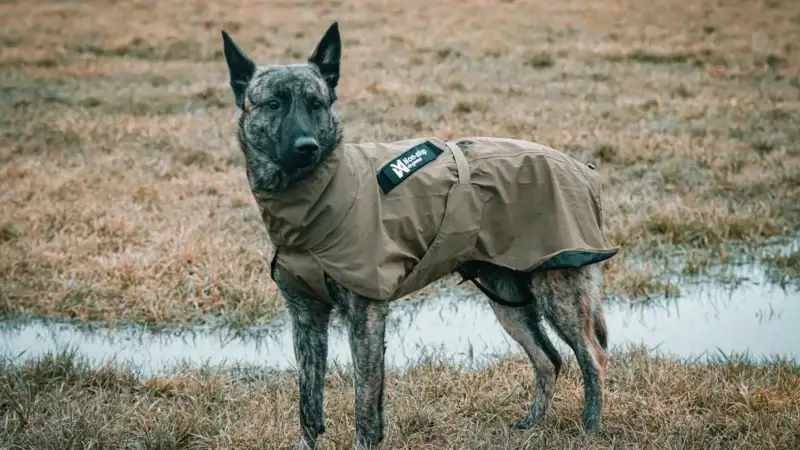 Fjord Raincoat WD Praxistest