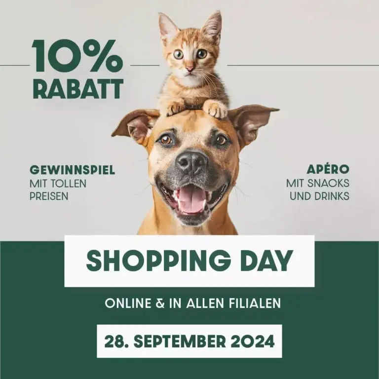 Meiko Shopping Day