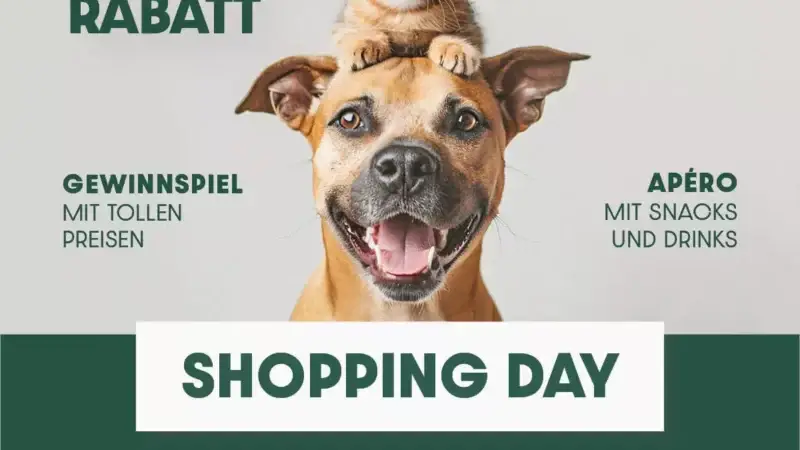 Meiko Shopping Day